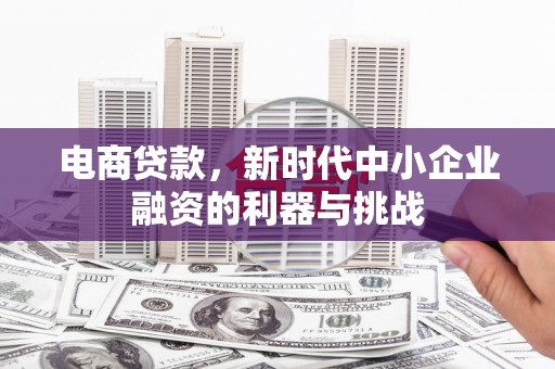 墨竹工卡电商贷款，新时代中小企业融资的利器与挑战