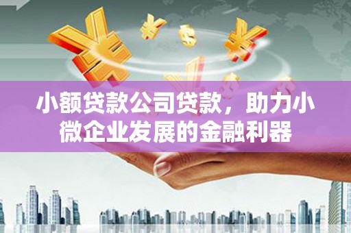 墨竹工卡小额贷款公司贷款，助力小微企业发展的金融利器