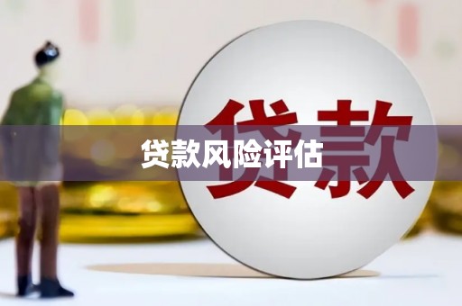 墨竹工卡贷款风险评估