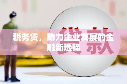 墨竹工卡税务贷，助力企业发展的金融新选择