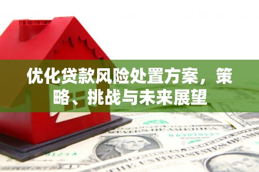 墨竹工卡优化贷款风险处置方案，策略、挑战与未来展望