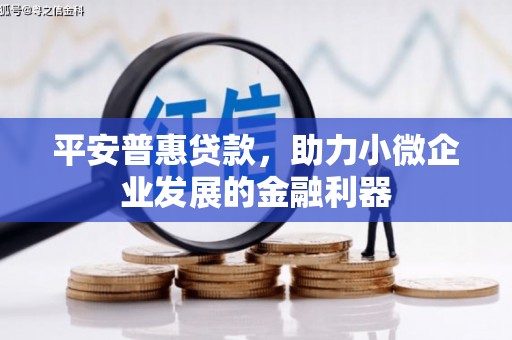 墨竹工卡平安普惠贷款，助力小微企业发展的金融利器