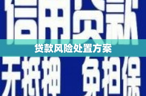 墨竹工卡贷款风险处置方案