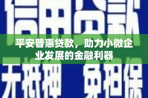 墨竹工卡平安普惠贷款，助力小微企业发展的金融利器