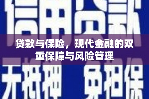 墨竹工卡贷款与保险，现代金融的双重保障与风险管理