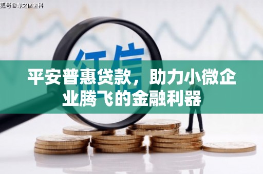墨竹工卡平安普惠贷款，助力小微企业腾飞的金融利器
