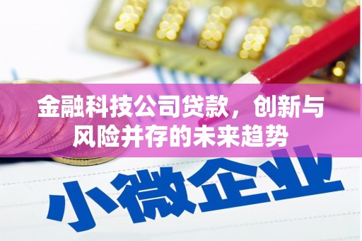 墨竹工卡金融科技公司贷款，创新与风险并存的未来趋势
