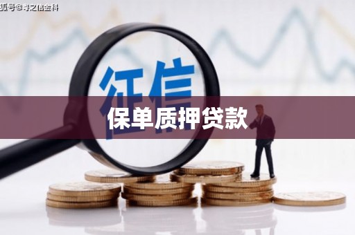 墨竹工卡保单质押贷款