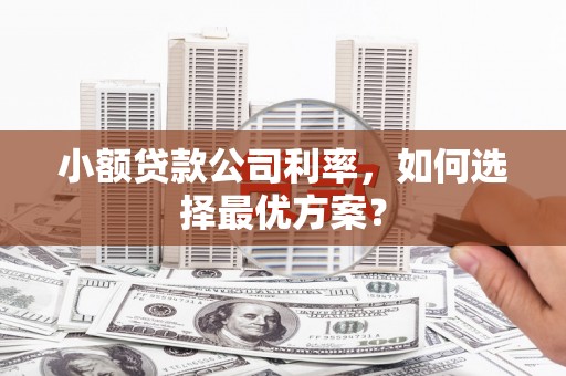 墨竹工卡小额贷款公司利率，如何选择最优方案？