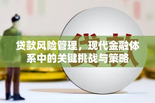 墨竹工卡贷款风险管理，现代金融体系中的关键挑战与策略