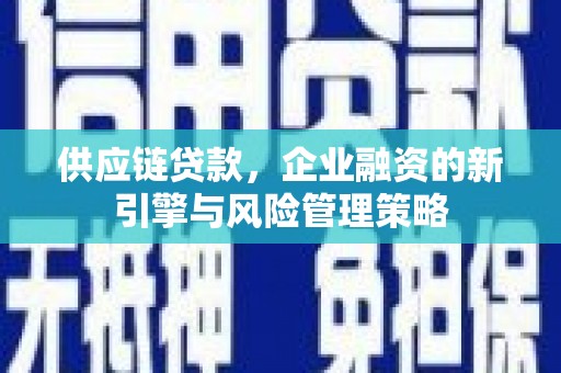墨竹工卡供应链贷款，企业融资的新引擎与风险管理策略