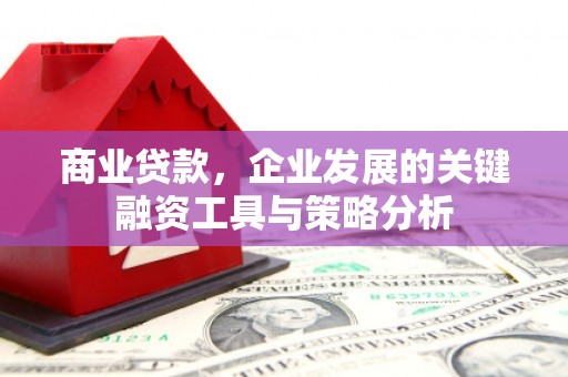 墨竹工卡商业贷款，企业发展的关键融资工具与策略分析