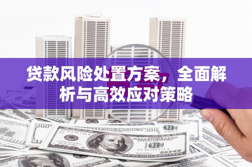 墨竹工卡贷款风险处置方案，全面解析与高效应对策略