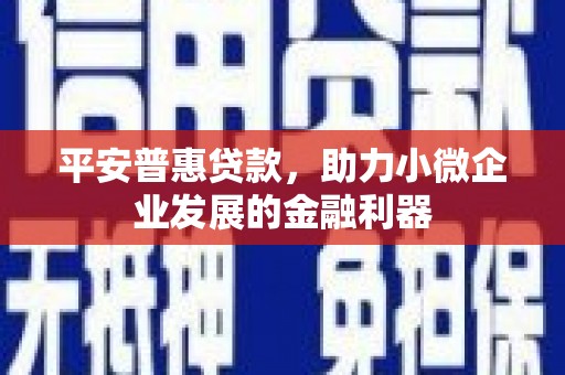 墨竹工卡平安普惠贷款，助力小微企业发展的金融利器