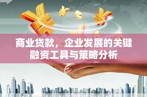 墨竹工卡商业贷款，企业发展的关键融资工具与策略分析