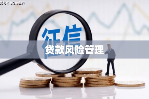 墨竹工卡贷款风险管理