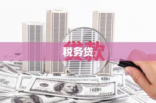 墨竹工卡税务贷