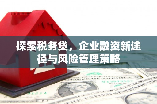 墨竹工卡探索税务贷，企业融资新途径与风险管理策略