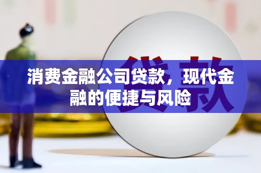 墨竹工卡消费金融公司贷款，现代金融的便捷与风险