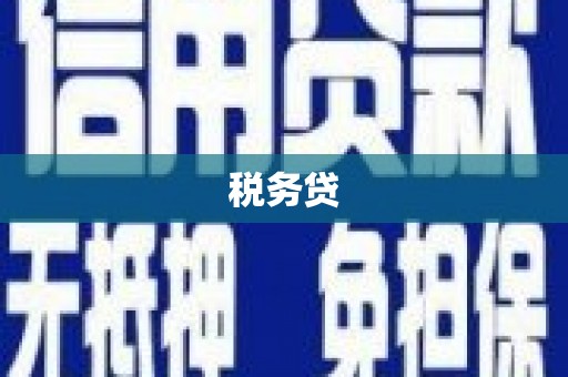 墨竹工卡税务贷