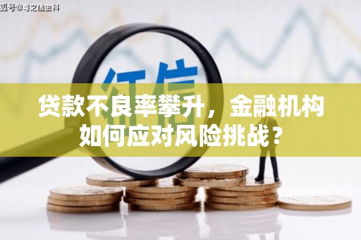 墨竹工卡贷款不良率攀升，金融机构如何应对风险挑战？