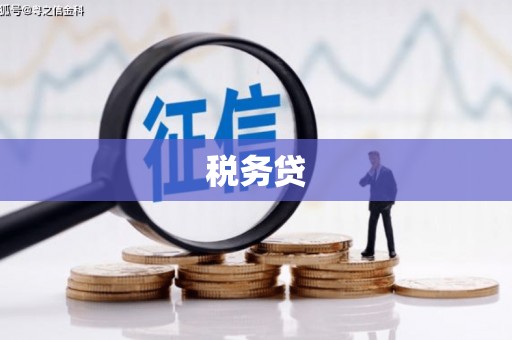 墨竹工卡税务贷