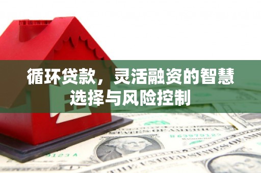 墨竹工卡循环贷款，灵活融资的智慧选择与风险控制