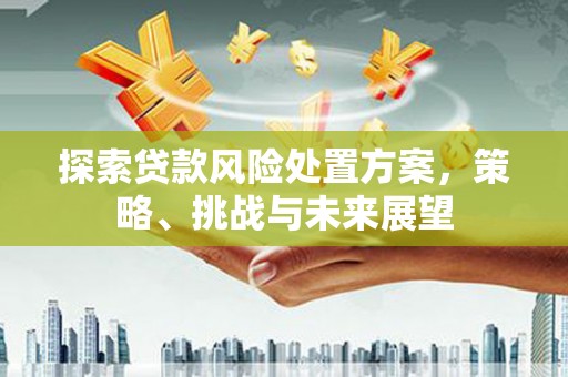 墨竹工卡探索贷款风险处置方案，策略、挑战与未来展望
