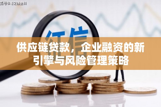墨竹工卡供应链贷款，企业融资的新引擎与风险管理策略