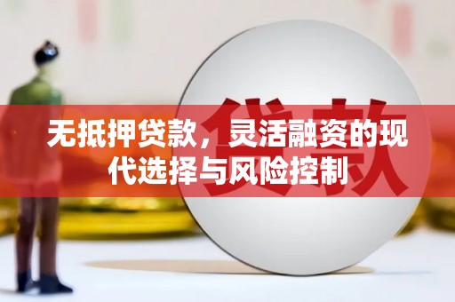 墨竹工卡无抵押贷款，灵活融资的现代选择与风险控制