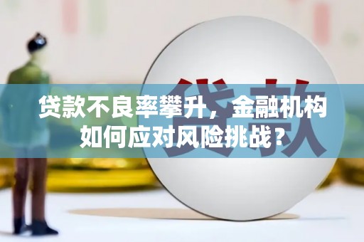 墨竹工卡贷款不良率攀升，金融机构如何应对风险挑战？