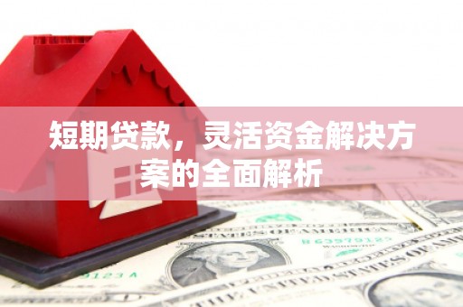 墨竹工卡短期贷款，灵活资金解决方案的全面解析