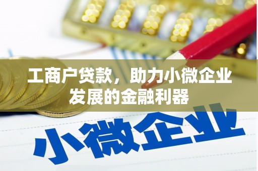 墨竹工卡工商户贷款，助力小微企业发展的金融利器