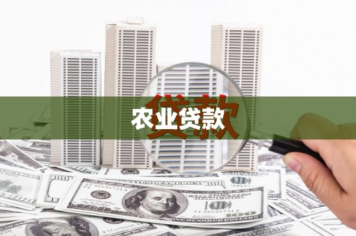 墨竹工卡农业贷款