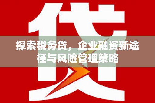 墨竹工卡探索税务贷，企业融资新途径与风险管理策略