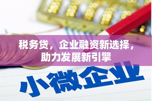 墨竹工卡税务贷，企业融资新选择，助力发展新引擎