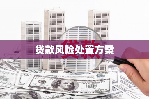 墨竹工卡贷款风险处置方案