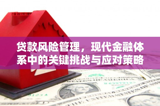 墨竹工卡贷款风险管理，现代金融体系中的关键挑战与应对策略