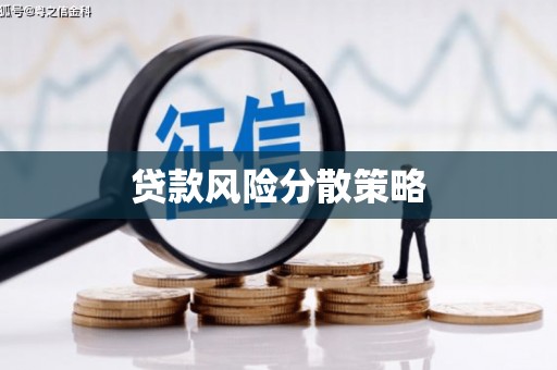 墨竹工卡贷款风险分散策略