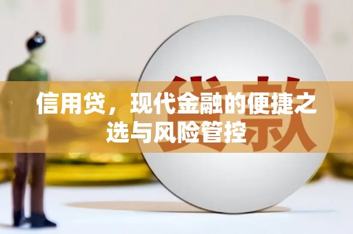 墨竹工卡信用贷，现代金融的便捷之选与风险管控