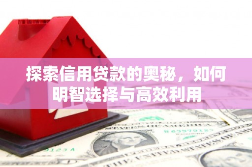 墨竹工卡探索信用贷款的奥秘，如何明智选择与高效利用