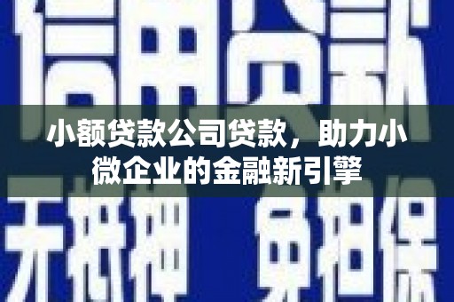 墨竹工卡小额贷款公司贷款，助力小微企业的金融新引擎