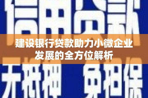 墨竹工卡建设银行贷款助力小微企业发展的全方位解析