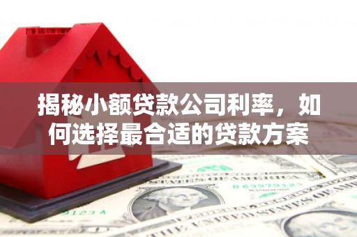 墨竹工卡揭秘小额贷款公司利率，如何选择最合适的贷款方案