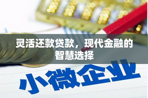 墨竹工卡灵活还款贷款，现代金融的智慧选择