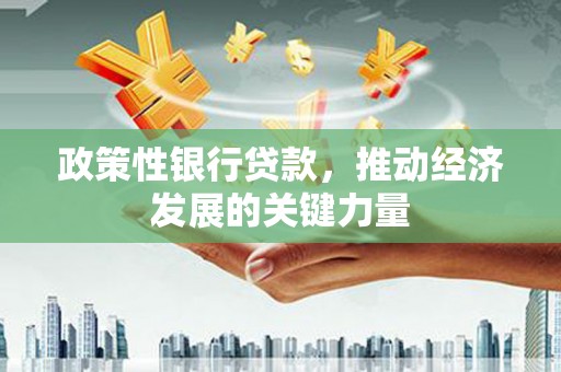 墨竹工卡政策性银行贷款，推动经济发展的关键力量