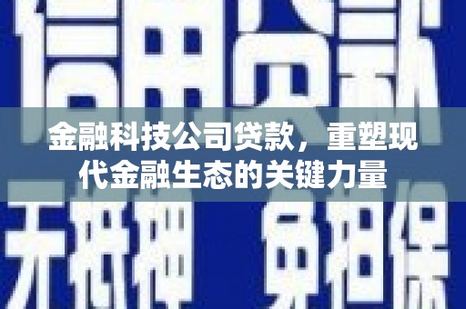 墨竹工卡金融科技公司贷款，重塑现代金融生态的关键力量