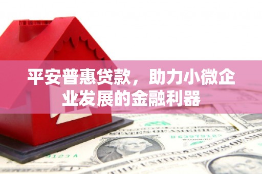 墨竹工卡平安普惠贷款，助力小微企业发展的金融利器