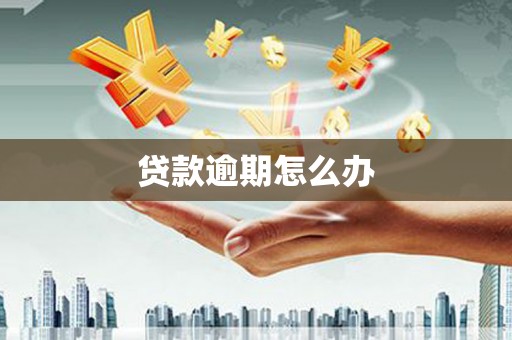 墨竹工卡贷款逾期怎么办