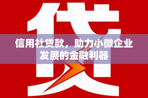 墨竹工卡信用社贷款，助力小微企业发展的金融利器